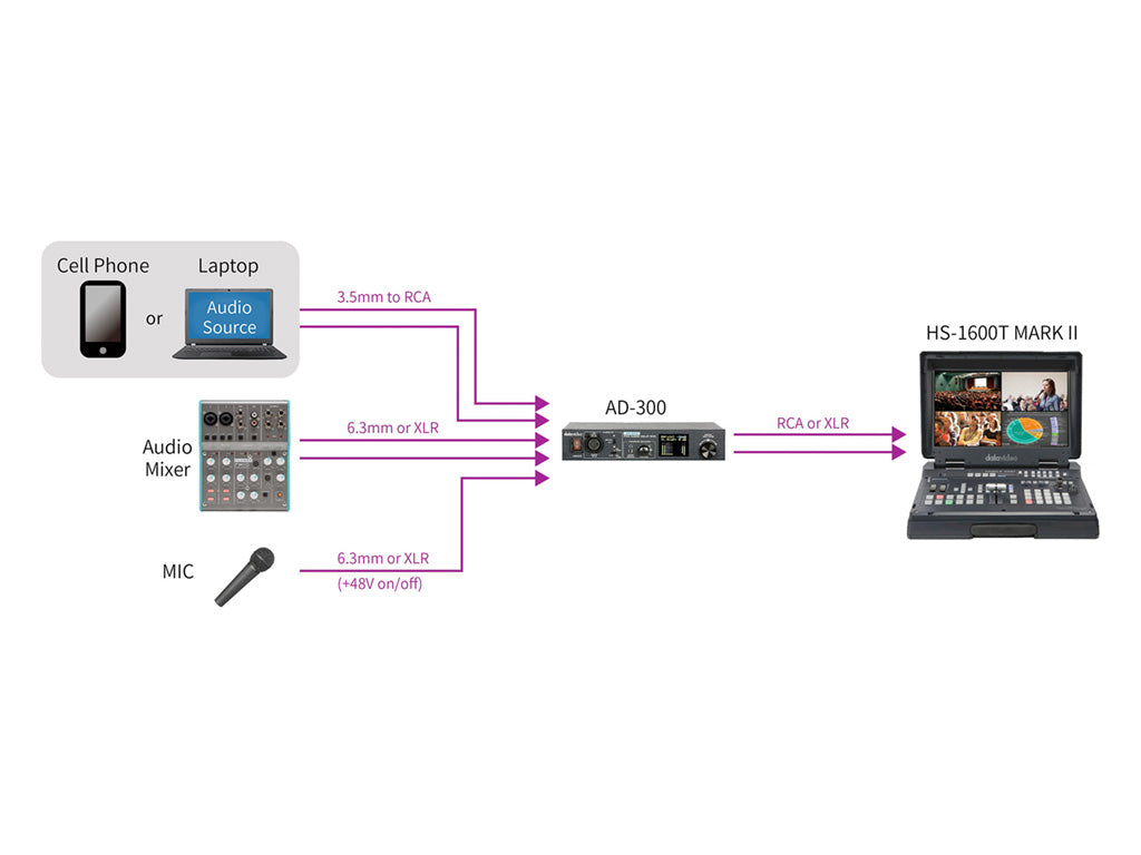 DataVideo AD-300