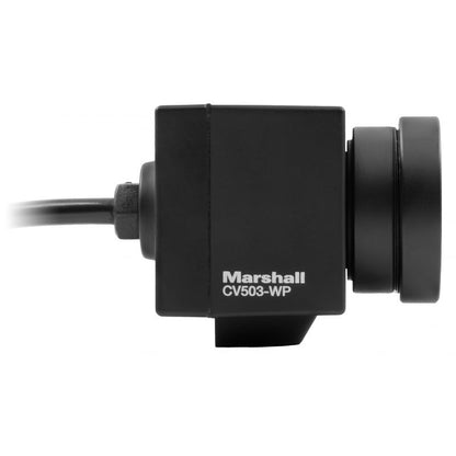 Marshall CV 503 WP