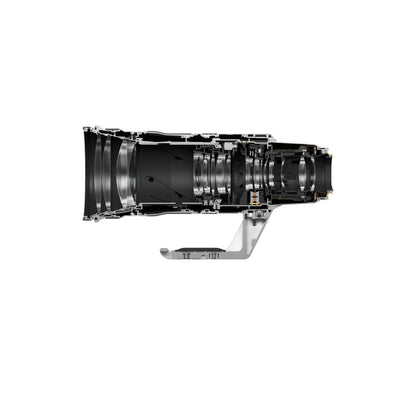 Canon Objectif Zoom RF 100-300mm F2.8L IS USM