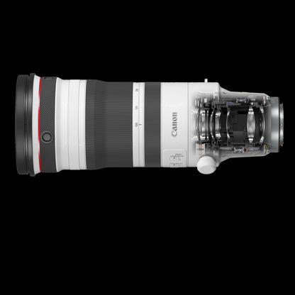 Canon Objectif Zoom RF 100-300mm F2.8L IS USM