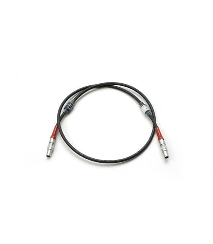 CABLE LBUS 0.8M (LE4P, LE4P)